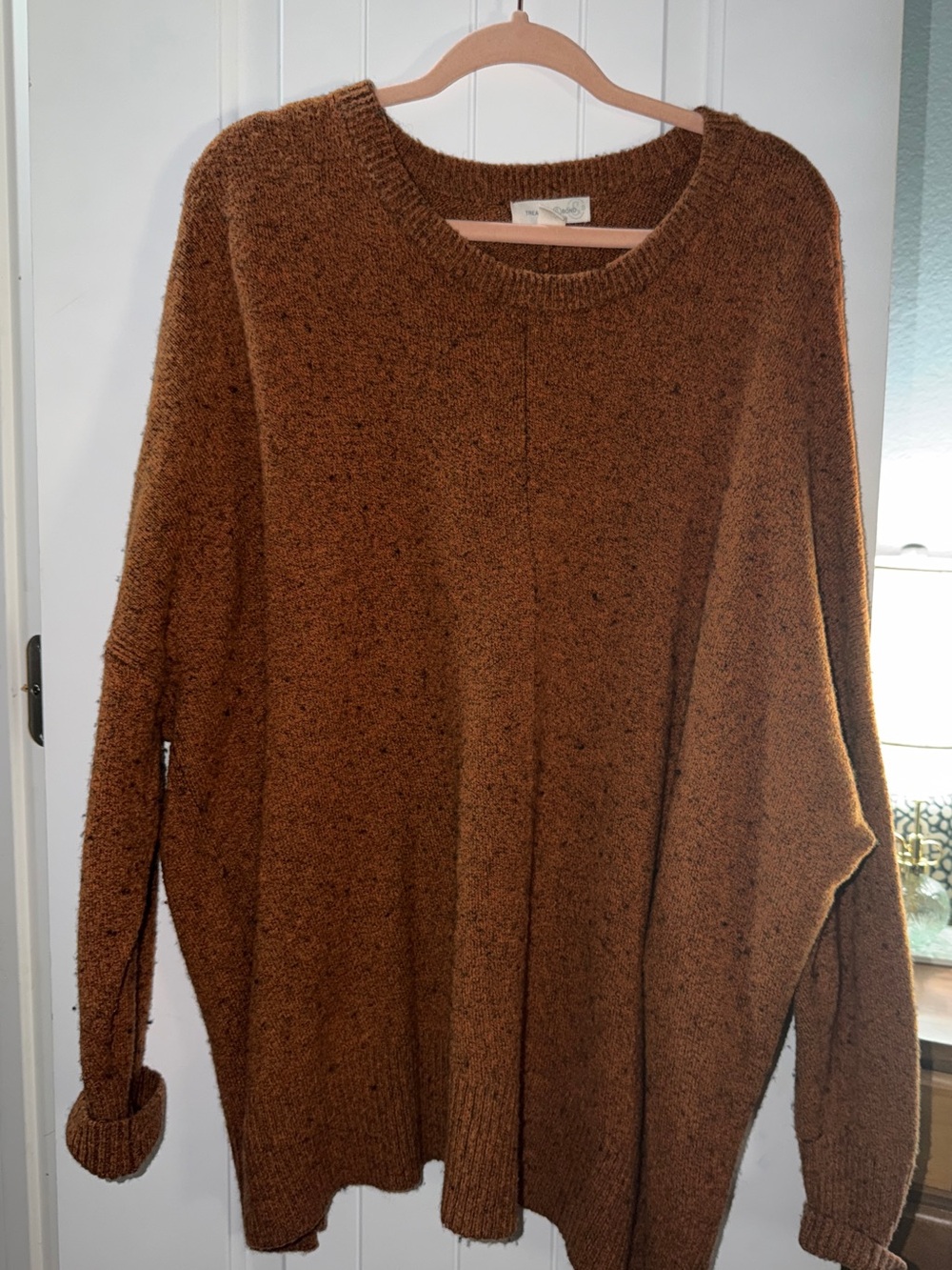 Treasure & Bond Women's Crewneck Sweater in Chestnut Brown